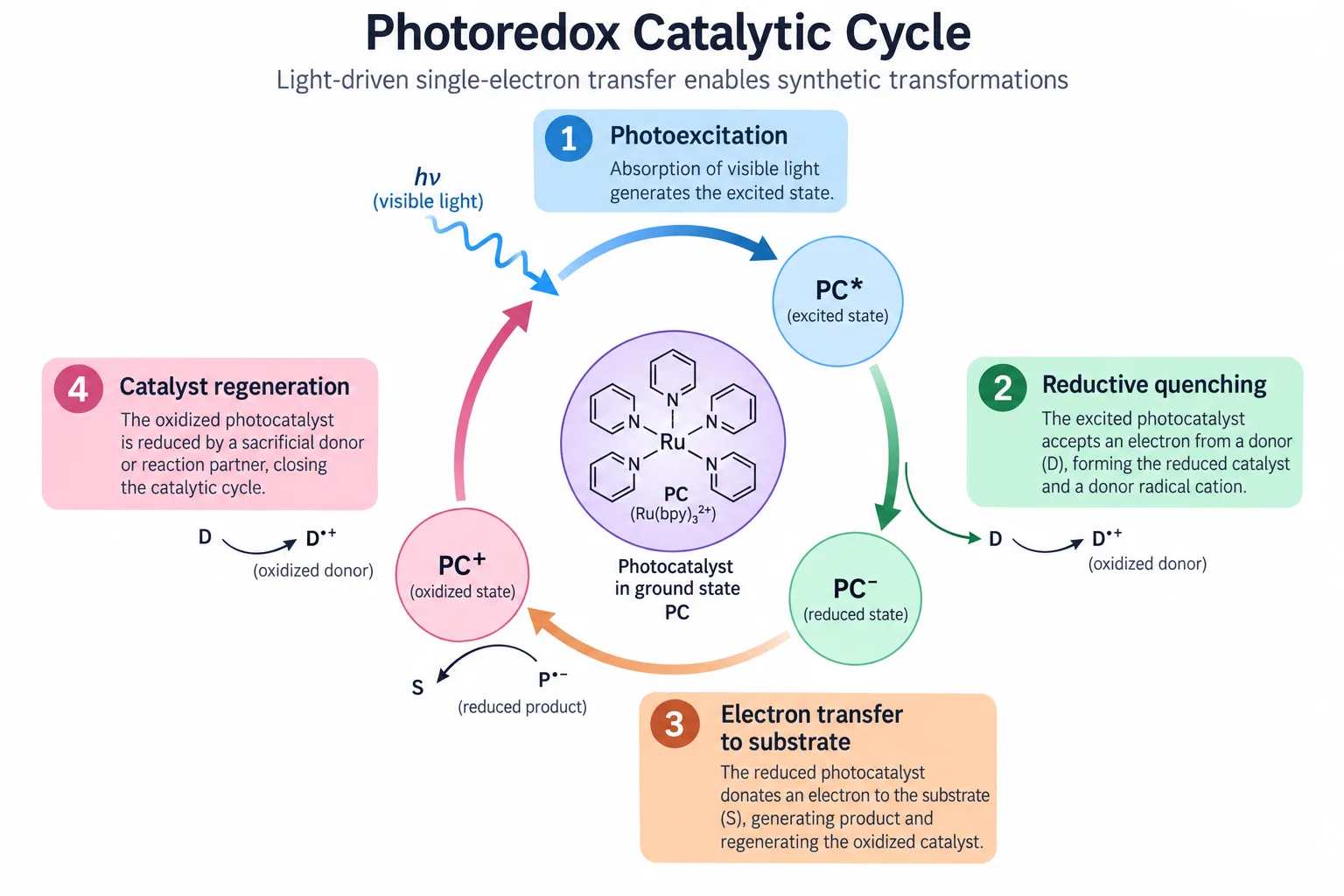 Photoredox catalytic cycle for slides