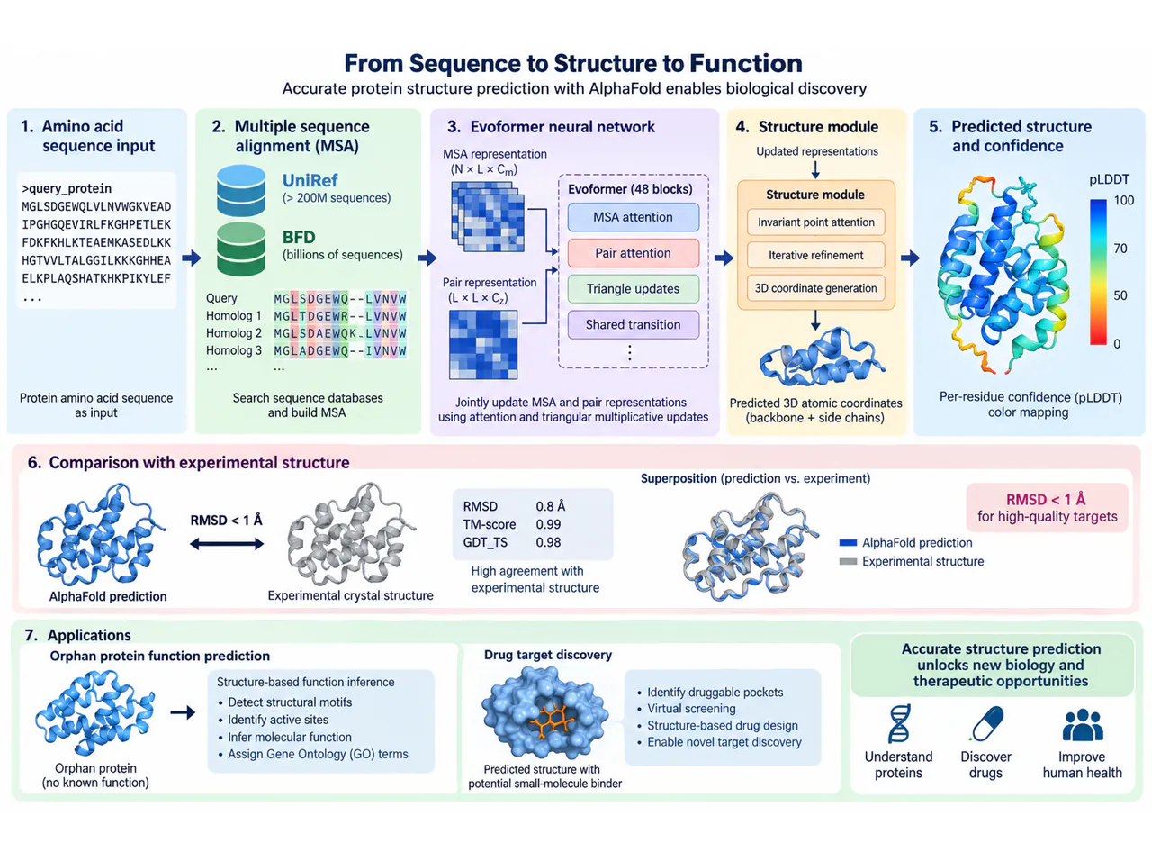 Protein prediction: sequence, model and confidence