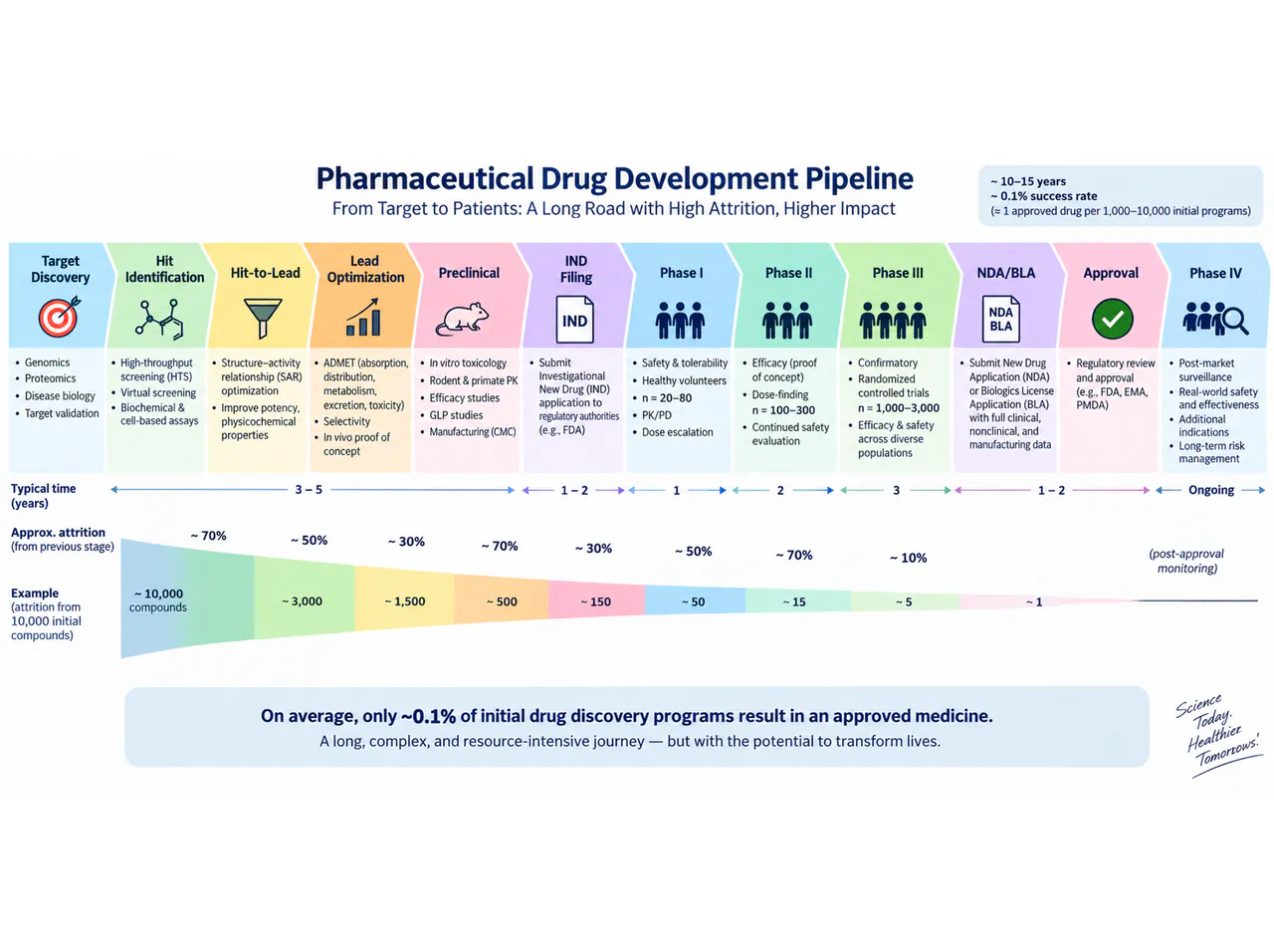 Drug research: stages and decision points