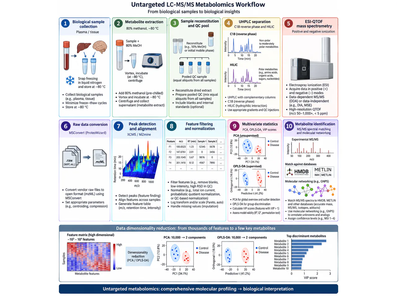 LC-MS/MS metabolomics: samples to features